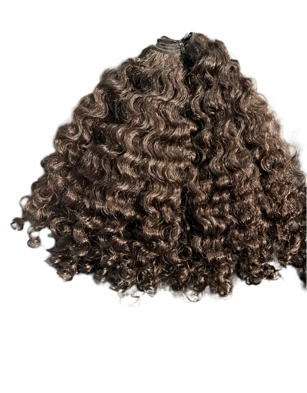 Raw burmese curly